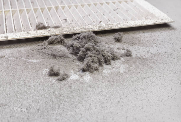 Best Home Air Vent Cleaning  in Three Lakes, WA
