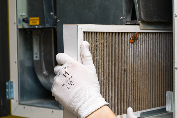 Best Air Vent Cleaning Services  in Three Lakes, WA