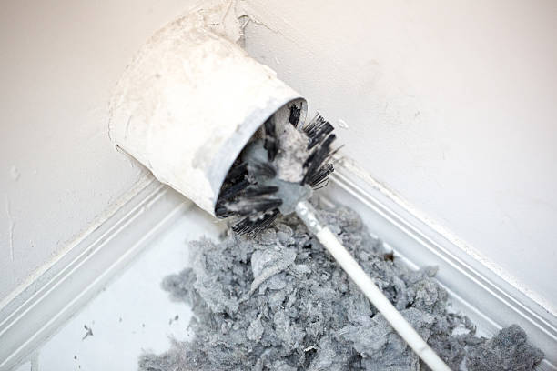 Best Professional Duct Cleaning Services  in Three Lakes, WA